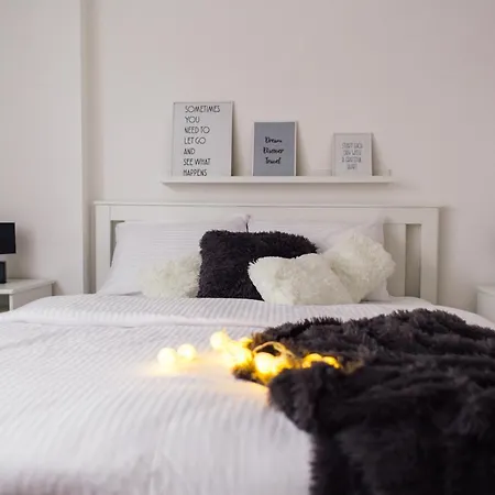 New Center Apartment